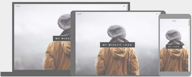 Picture of a website about a paralax view