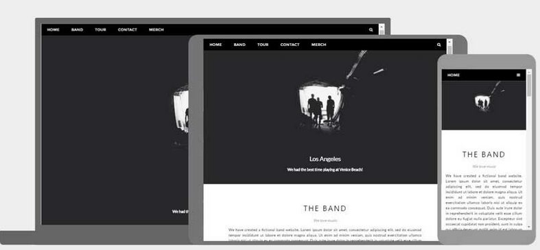 Picture of a website about a band